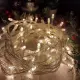Гирлянда однотон (теплый белый) 100 LED 