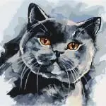 Картина по номерам "Кот"
