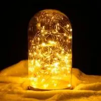 Гирлянда Роса (белый теплый) 100 LED USB