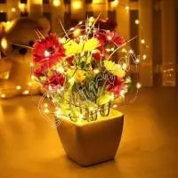 Гирлянда Роса (Белый теплый) 50 LED  на батарейках